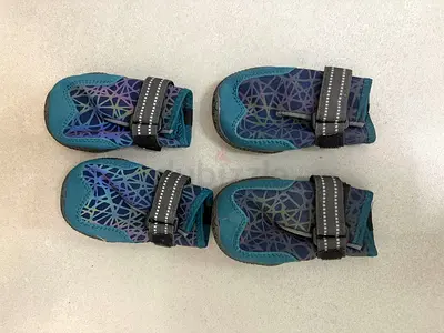 Brand new LETSQK dog boots