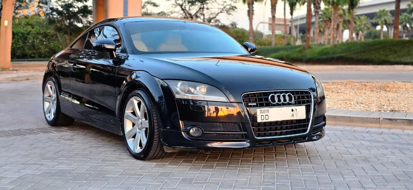 Audi TT 2009 — photo 1 of 15