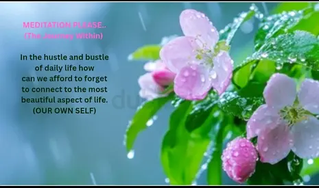 Online Meditation sessions For All