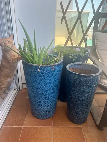 3 Large planter pots