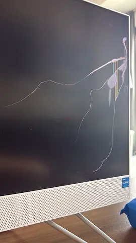 24 inch LED all in one desktop with cracked screen – selling for parts or repair