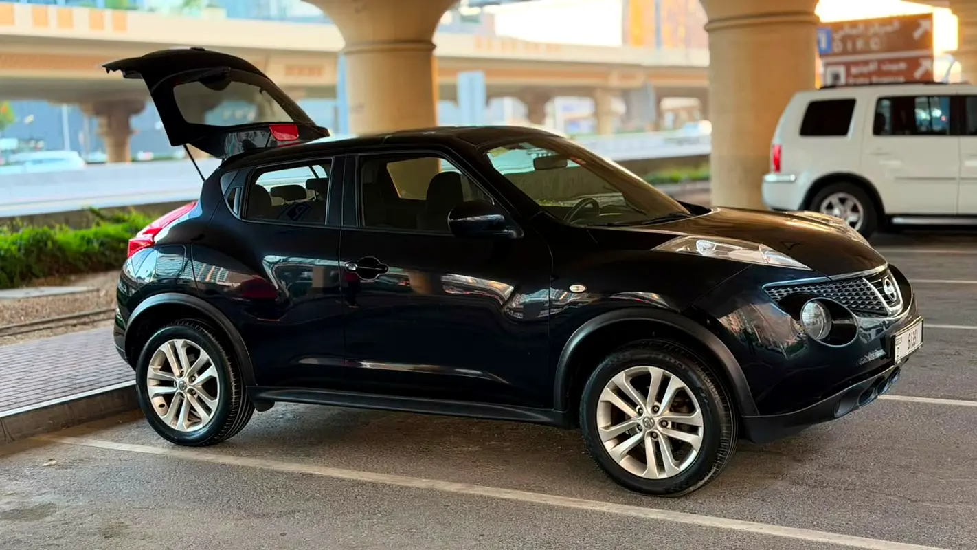 Nissan Juke 2014 — photo 1 of 16