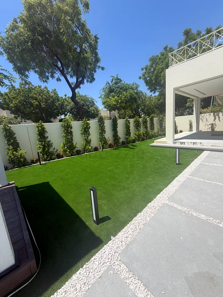 DPV_View_Image_1