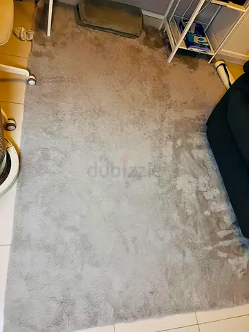 Gray Rug / Carpet