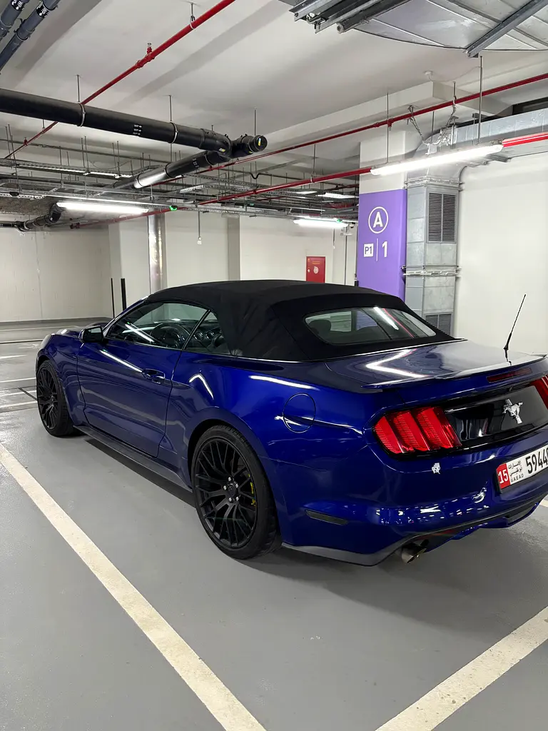 Ford Mustang 2017 — photo 1 of 3