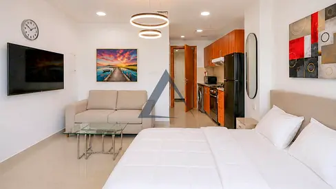 Fully Furnished | Lake View | Upgraded Studio