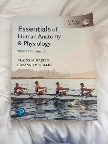 Essentials of Human Anatomy  Physiology (Global Edition) - 13th Edition