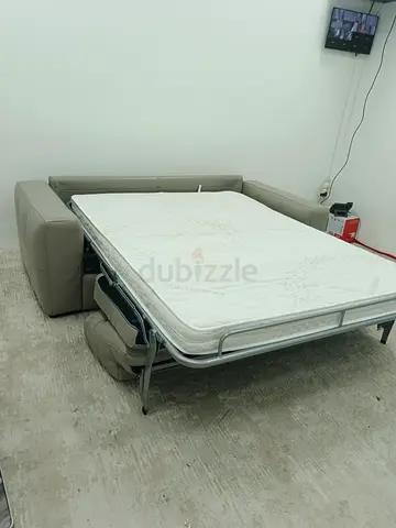 Top quality Natuzzi Brand Sofabed