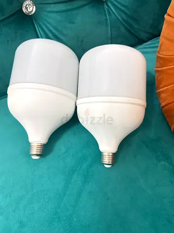 Pair of Large High Power LED Light Bulbs