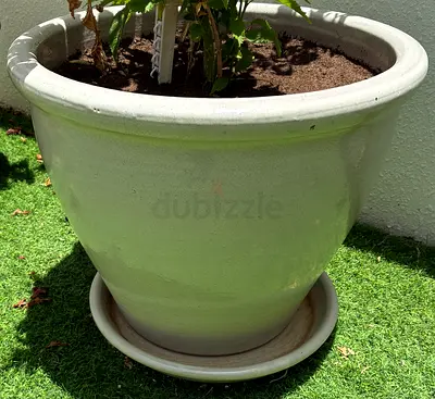 Plant vase
