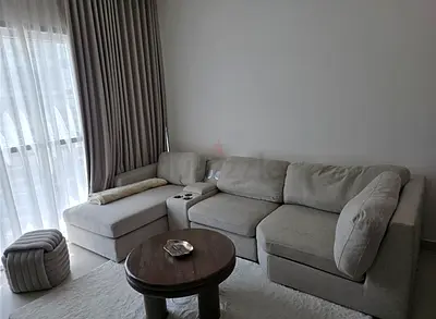 Modern Light Gray sofa