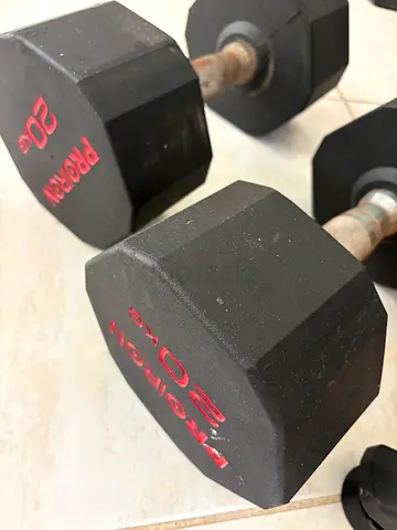 Set of dumbbells 20kg