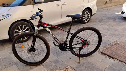 Raligch frame large tir 29 good condition