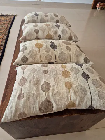 4 feather cushions  from Crate  Barrel