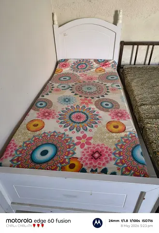 Single Bed  cot