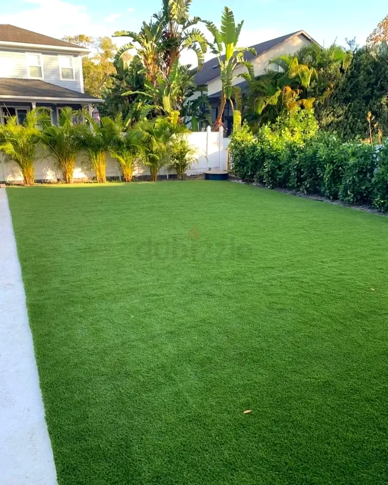 DPV_View_Image_6