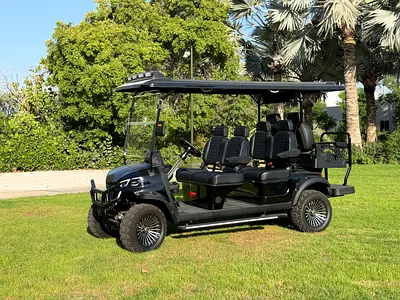 Six Seater Electric Golf Cart with Off-Road Tires