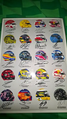 F1 Helmet Poster with Printed Signatures. That way, its clear that the signatures are printed, no