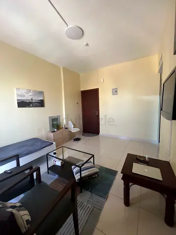 1 BHK Premium Executive Sharing Accommodation Available – Apartment (Single Person)