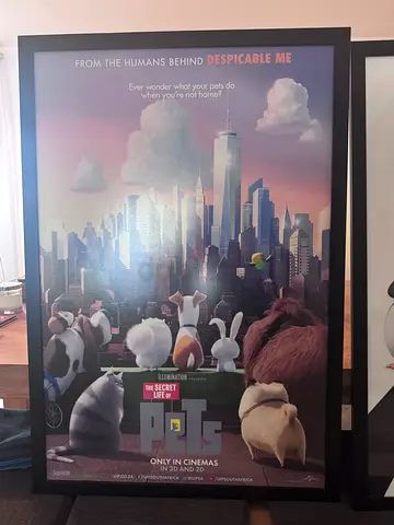 Framed Poster Prints