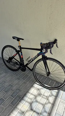 Sunpeed Triton Roadbike