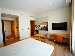 Furnished Studio | Dubai Skyline View | Vacant