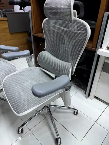 Ergonomic Mesh Office Chair with Headrest and Lumbar Support