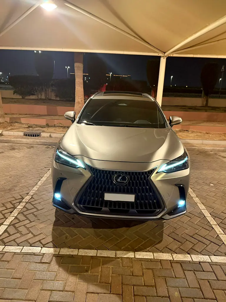Lexus NX-Series 2024 — photo 1 of 10