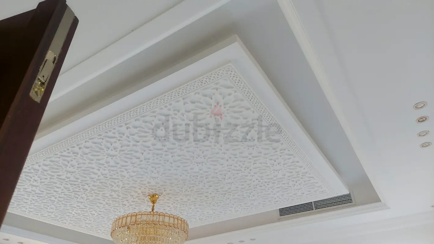 DPV_View_Image_5