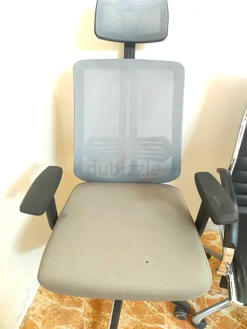 Ergonomic Mesh Office Chair with Headrest - Used