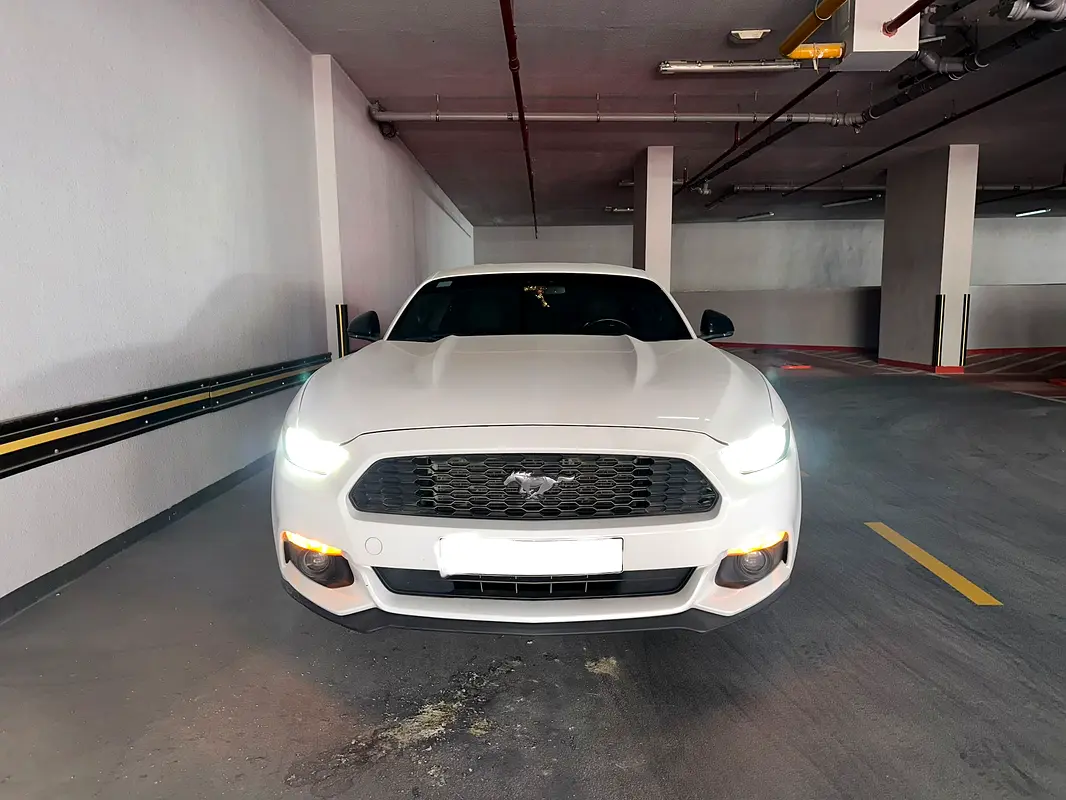 Ford Mustang 2017 — photo 1 of 11