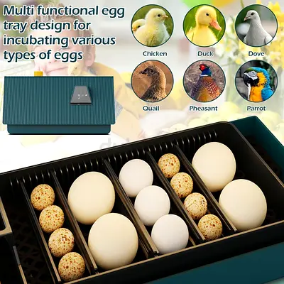 10-egg incubator, fully automatic digital poultry incubator