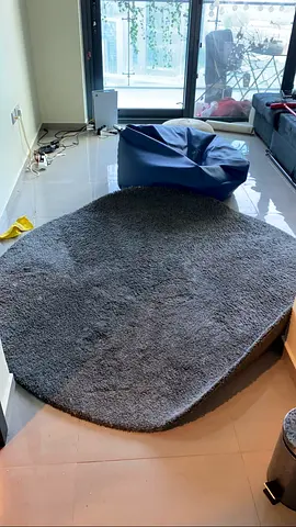 Large Grey Oval Shaggy Rug