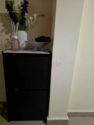 Slim Black Shoe Cabinet - 2 Door, Compact Hallway Storage