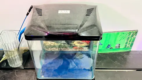 fish tank