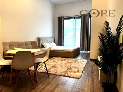 Fully Furnished | Vacant | Park View