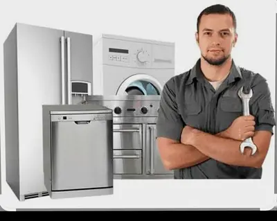 Collection of Household Appliances - Fridge, Washer, Dishwasher and Oven