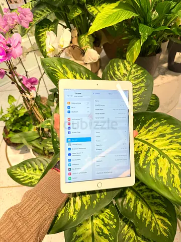 Ipad 5th gen
