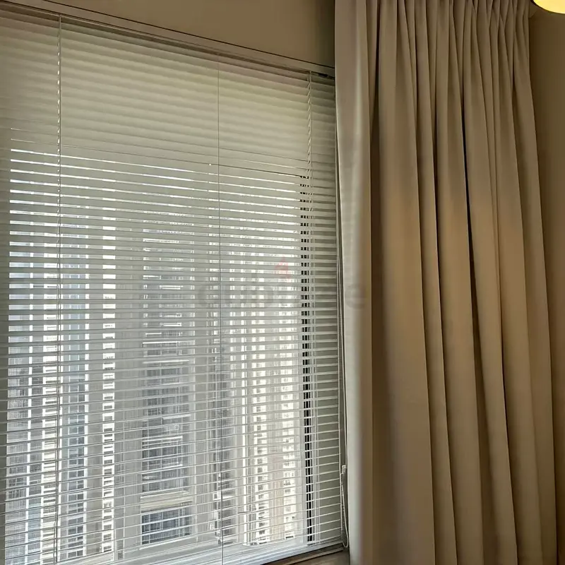 DPV_View_Image_9