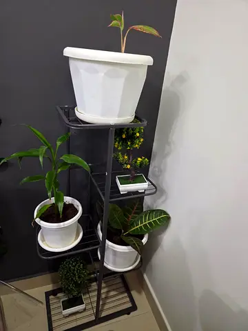 Corner Plant Stand