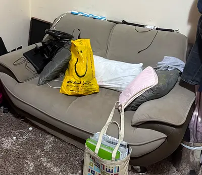 Used 2-Seater Grey Fabric Sofa - Good Condition