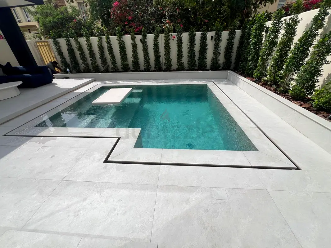 DPV_View_Image_2