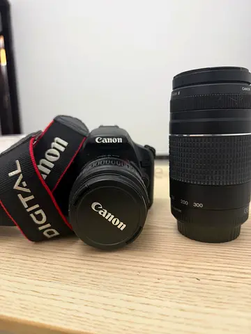 Canon DSLR with 18-55mm kit lens + 75-300mm telephoto lens