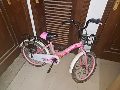 Pink 16-inch Childrens Bike with Basket and Rear Rack - Good Condition
