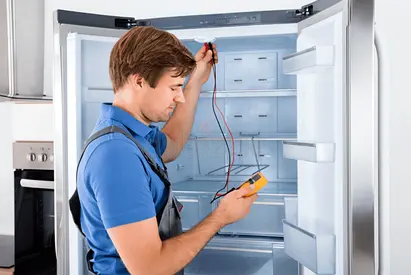 Same-Day Fridge Repair Service Available.