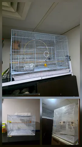 BIRD CAGE