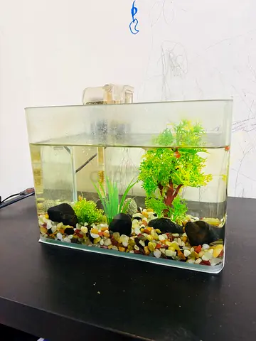Glass Aquarium with Filter, Plants and Gravel