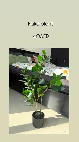 Small Faux Greenery Plant in Black Pot - 40 AED