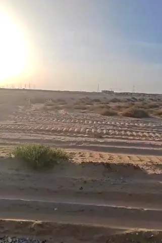 للبيع قطعة أرض سكنية في الشارقة منطقة المطرق ضاحية الرويضات