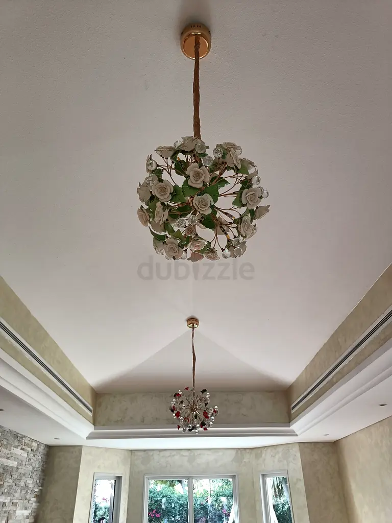 DPV_View_Image_2